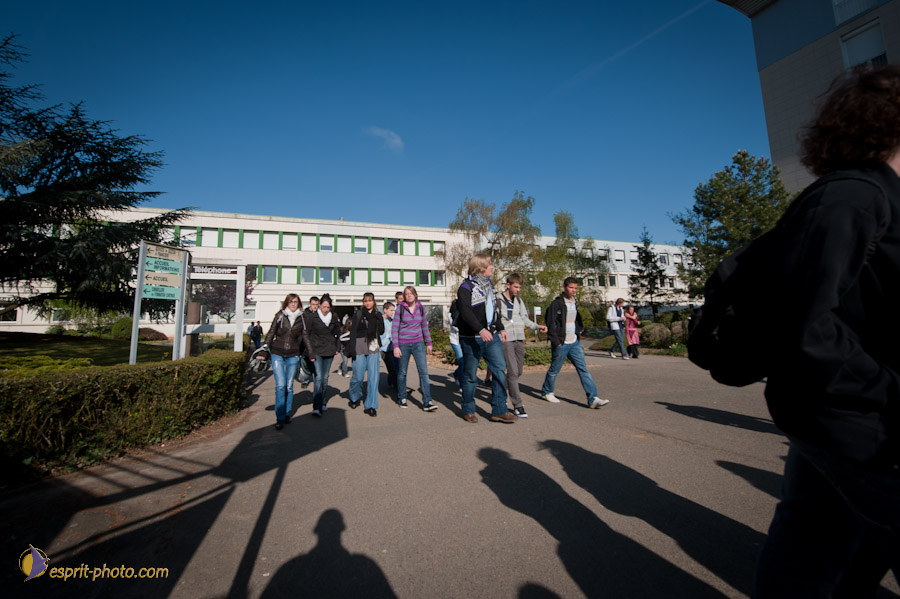 Nom de l'image : D30102034a_(c)Norbert-JUNG.com — Description :